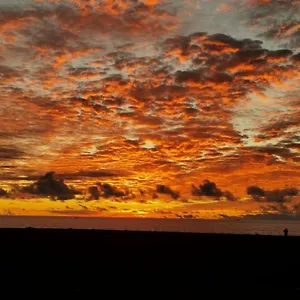 https://el-mirador-puntagorda-la-palma.in-canary-islands.com